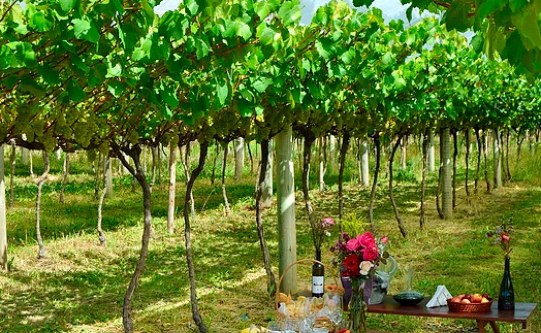 Imagem que ilustra o título: Conheça São Joaquim