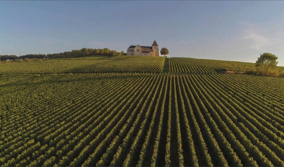 Imagem que ilustra o título: Região de Champagne